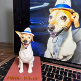 3D Miniature Pet
